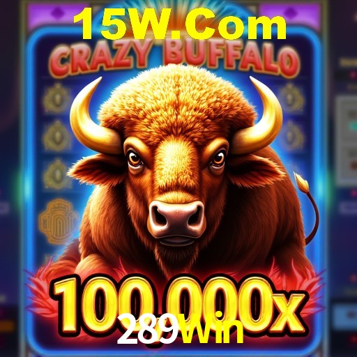 Interface do App 289Win