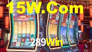 Premium Interface 289Win