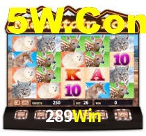 Experimente o Login Seguro Premium no 289Win